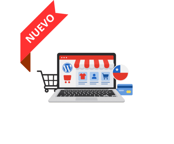 Ecommerce + pago online